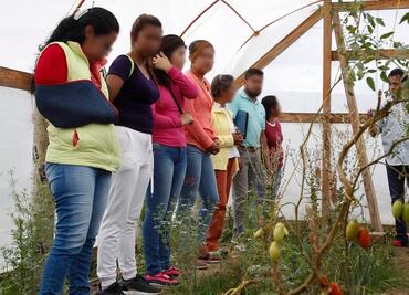 Llegan apoyos de pintor Francisco Toledo a reclusorios de Oaxaca