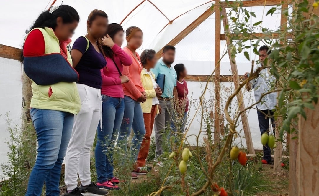 Foto: Mario Arturo Martínez/EL UNIVERSAL