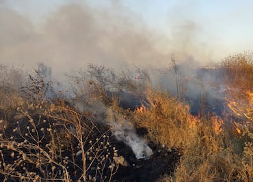 Registran incendio en franja del Bordo de Xochiaca