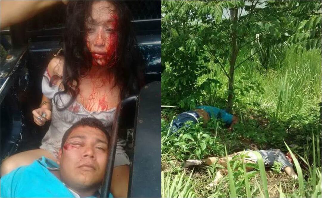 Los detenidos a bordo de un vehículo de la policía y los cuerpos tendidos sobre el pasto. Especial