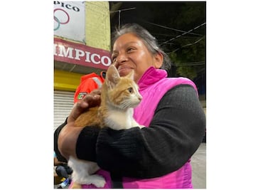 Localizan a Max, un gatito extraviado tras explosión en colonia Pensil