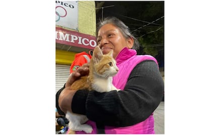 Localizan a Max, un gatito extraviado tras explosión en colonia Pensil