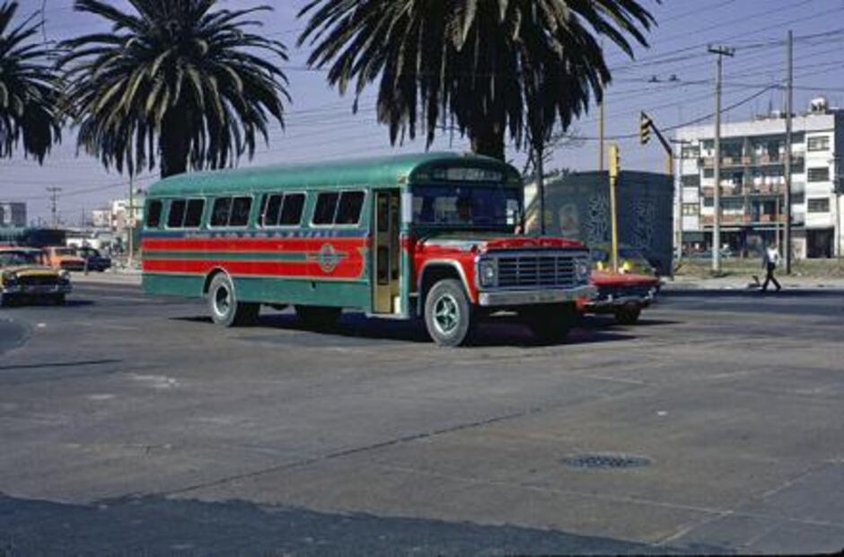 El guajolote en la cena de Navidad, en los bailes de boda y hasta en el transporte