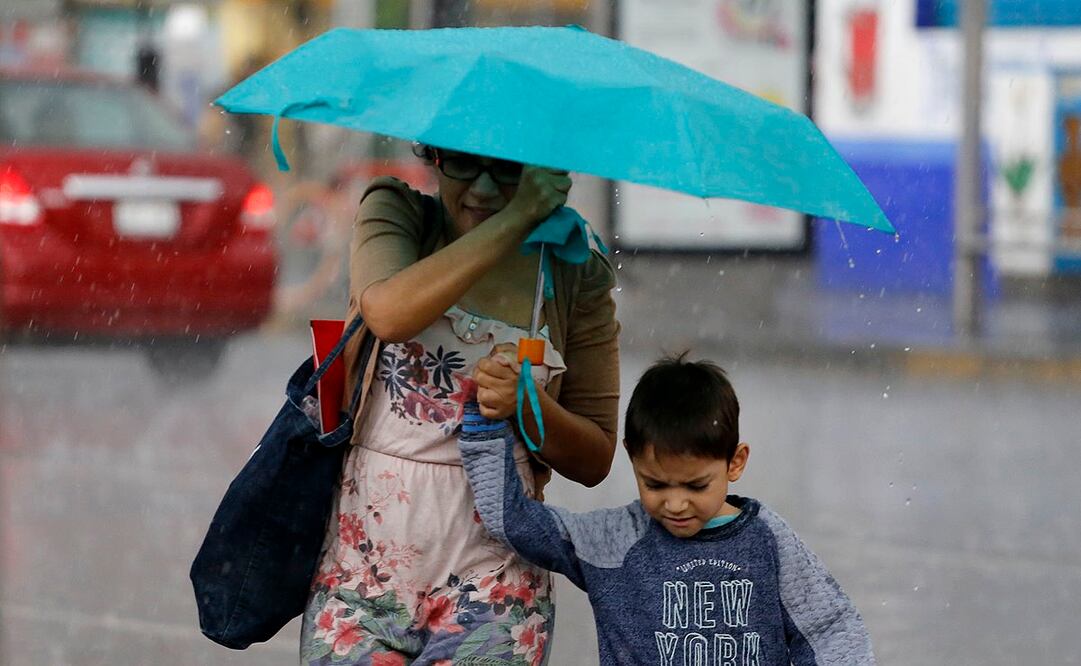 Foto: Archivo. EL UNIVERSAL