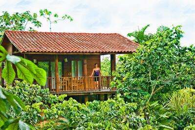 Ruta por las fincas cafetaleras de Chiapas