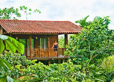 Ruta por las fincas cafetaleras de Chiapas