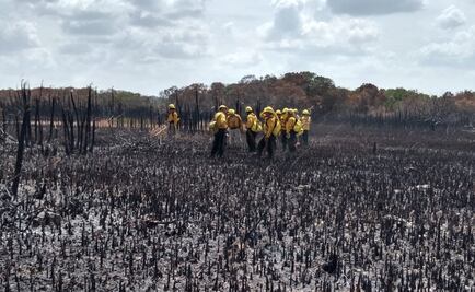 Prevén reabrir este martes sitio arqueológico cerrado por incendio en Sian Ka'an