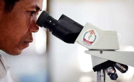 Tecnología para evaluar daños en células