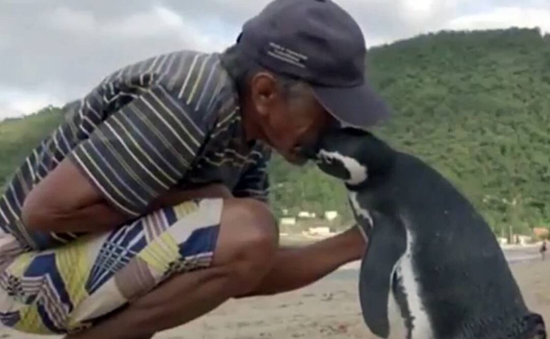 (Foto: Tomada de YouTube)