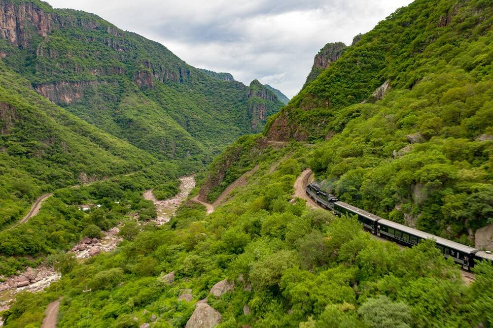 Foto: Fidetur Chihuahua