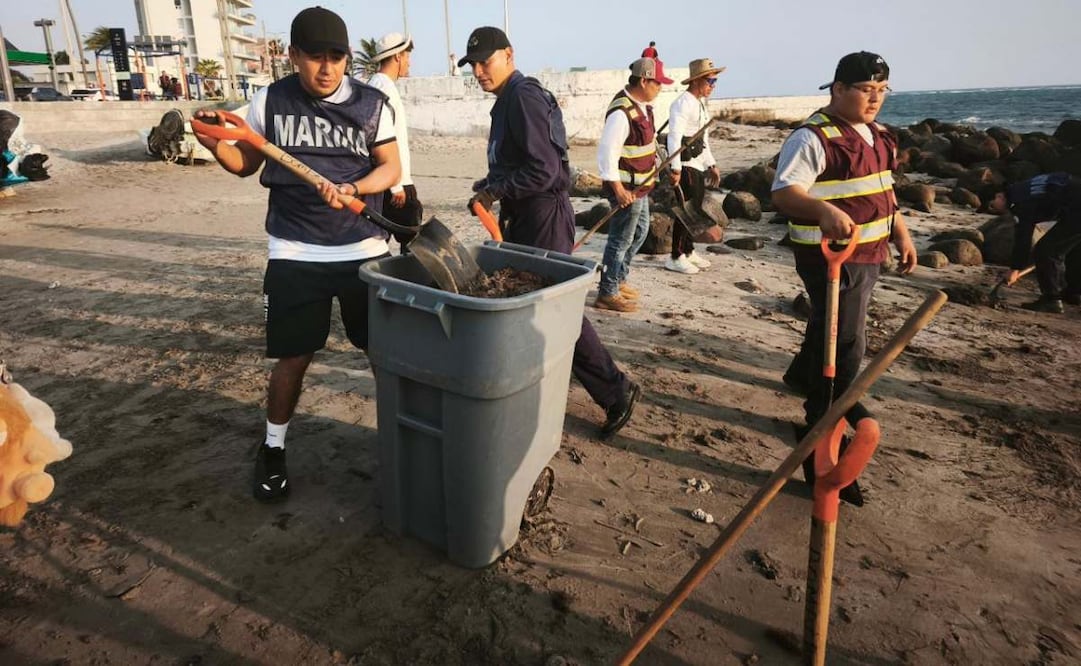 Limpian 34 playas afectadas por manchas de hidrocarburo en Veracruz; participan 235 elementos.
Foto: Especial.