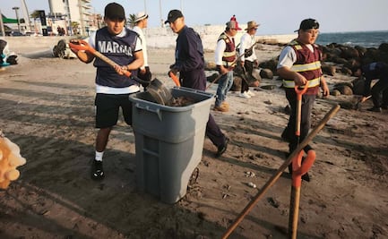 Limpian 34 playas afectadas por manchas de hidrocarburo en Veracruz; participan 235 elementos de la Marina