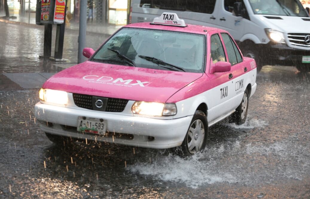 Foto: Berenice Fregoso