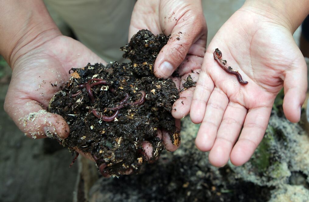 Foto: El Universal / Miguel Espinosa, archivo 