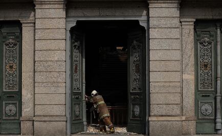 El Museo Nacional de Brasil albergaba "archivos irremplazables de la biodiversidad": especialista