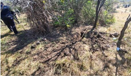 Hallan fosa clandestina con tres cuerpos en Sahuayo, Michoacán