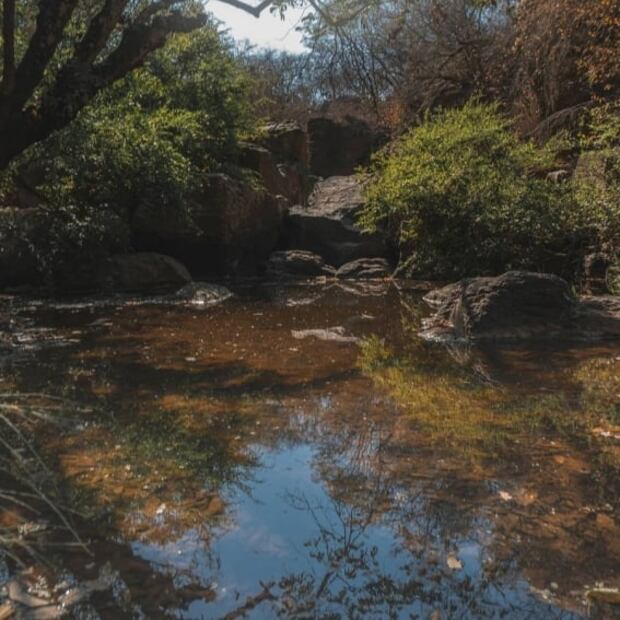 Buckingham sí está en México, conoce este peculiar destino