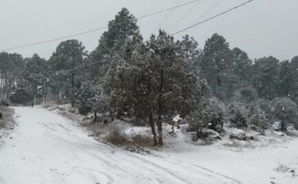 Caída de nieve provoca cierres carreteros en Chihuahua