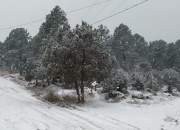 Caída de nieve provoca cierres carreteros en Chihuahua