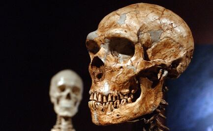 Hallazgo de esqueleto neandertal arroja luz sobre prácticas funerarias
