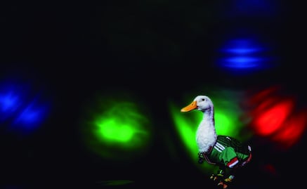 Pato Merlín hace vivir “experiencia única” a la familia Gómez en la Copa del Mundo 2026