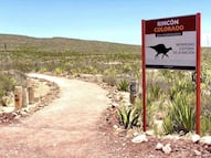 México concentra hallazgos de dinosaurios; Coahuila destaca, pero no es el único caso