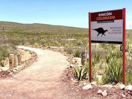 México concentra hallazgos de dinosaurios; Coahuila destaca, pero no es el único caso