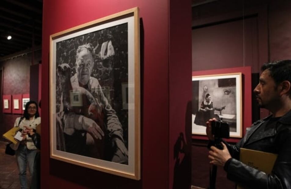 Xoloitzcuintle, de perro perseguido por la Iglesia a ícono de México