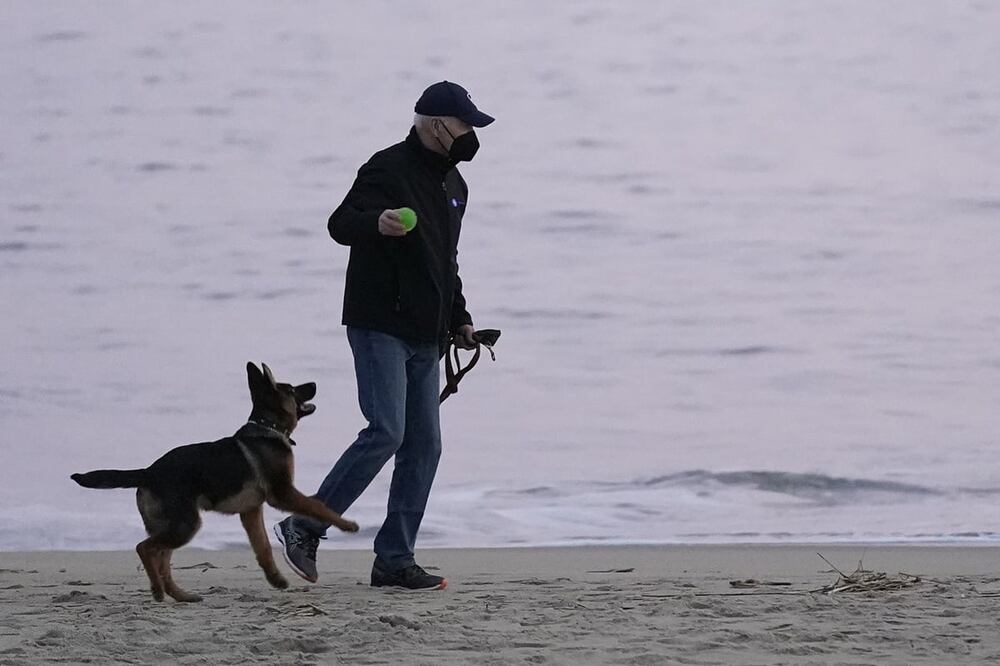 Investigadores consideran posible que un humano contagiara a un animal y éste, a su vez, infectara de nuevo a otro humano. Foto: AP / Patrick Semansky