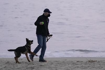 ¿Ómicron, consecuencia de "zoonosis inversa"?, esto sugieren los primeros estudios de la variante