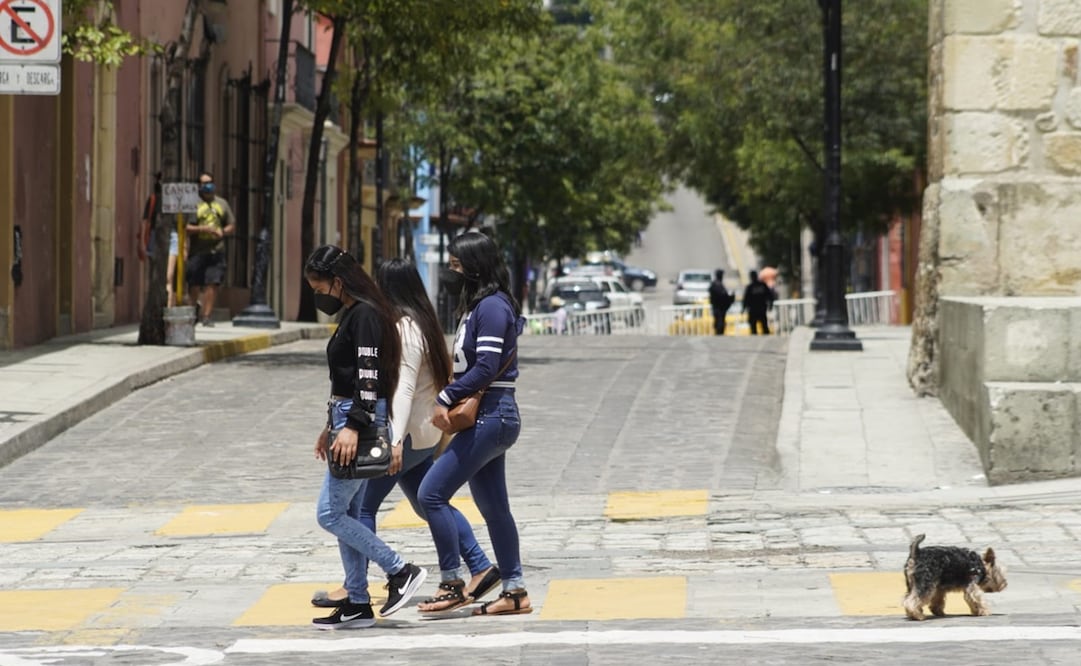 Foto: Mario Arturo Martínez / EL UNIVERSAL