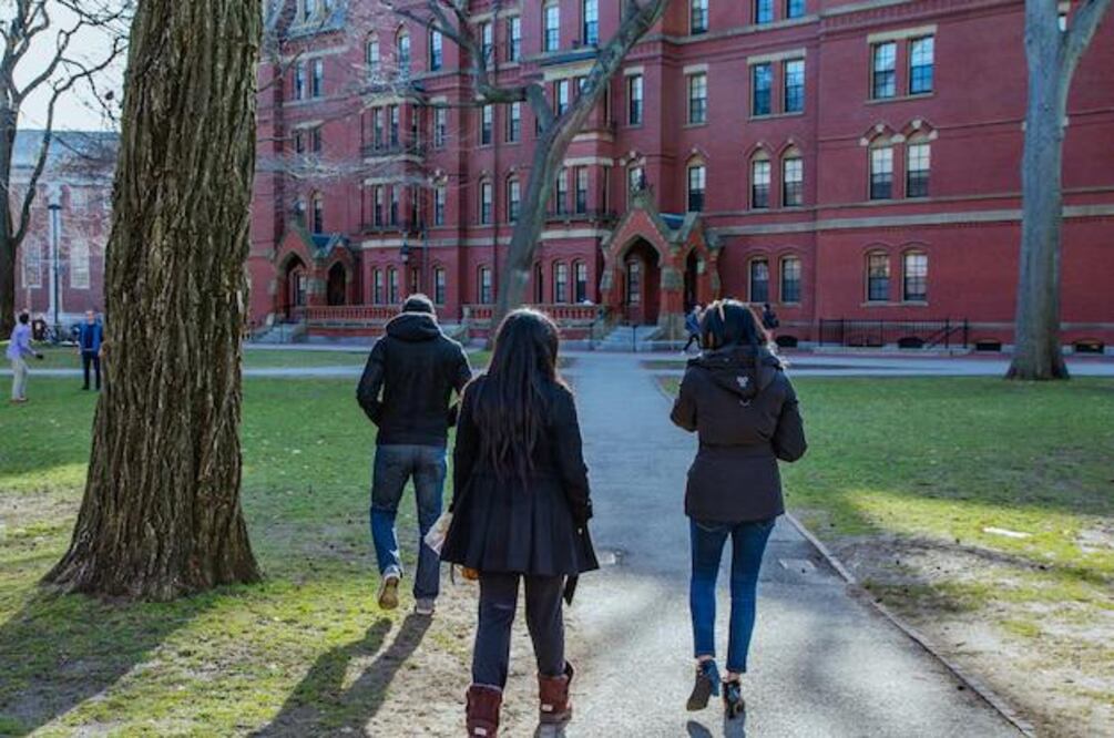 Universidades de Japón aceptan a estudiantes matriculados en Harvard.  Fuente: Freepik.