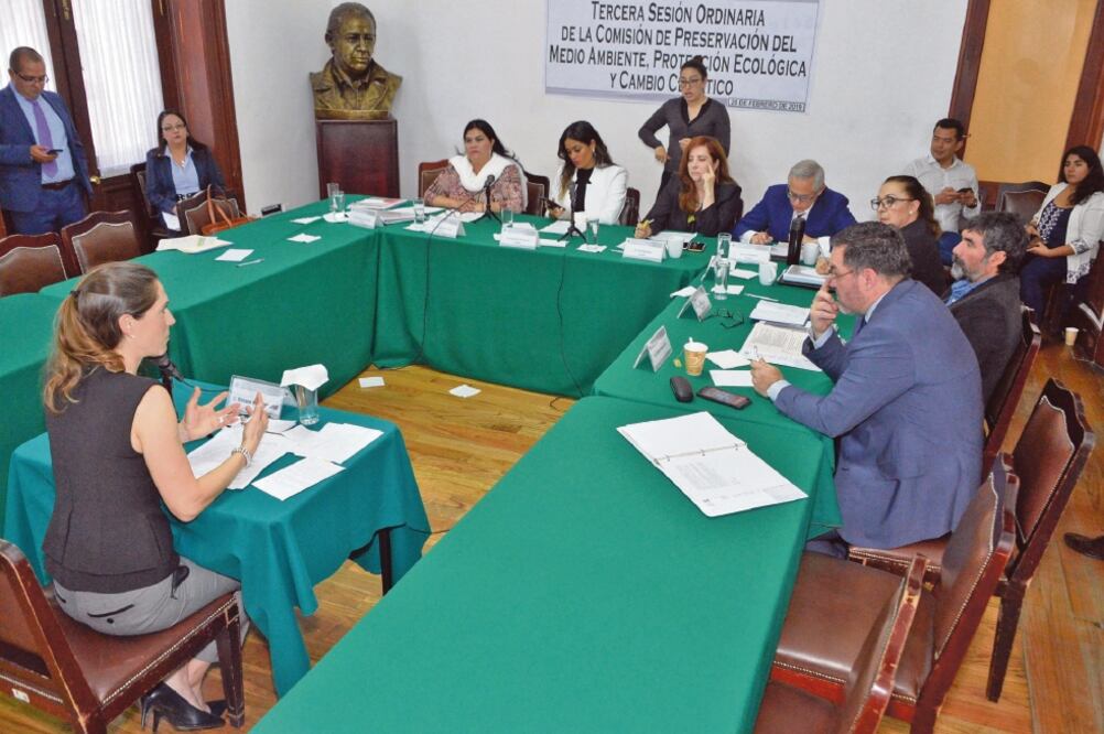 El dictamen para el nuevo titular de la PAOT será votado en la Comisión de Preservación del Medio Ambiente y discutido el martes ante el pleno. (ESPECIAL)