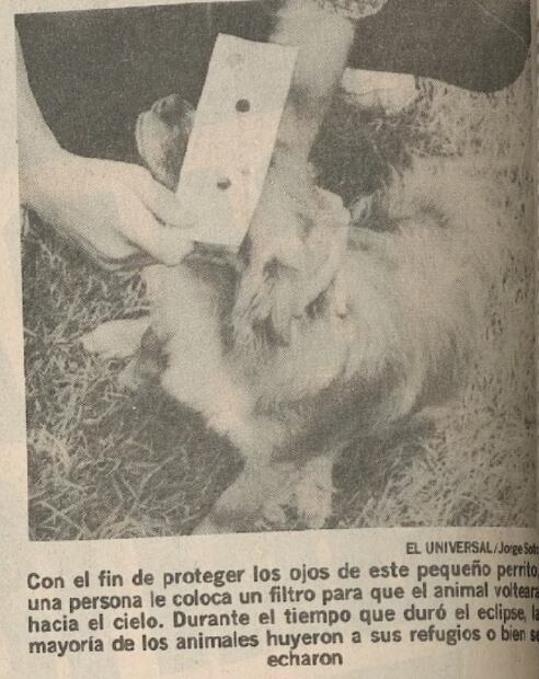 El eclipse solar de 1991 que detuvo el ajetreo de la Ciudad de México durante siete minutos