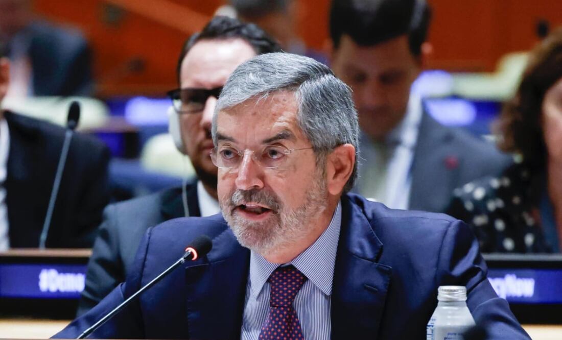 Juan Ramón de la Fuente. Foto: Especial