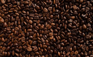 Regulan producción del café en México; conoce de qué trata la nueva ley de cafeticultura