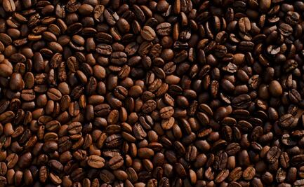 Regulan producción del café en México; conoce de qué trata la nueva ley de cafeticultura