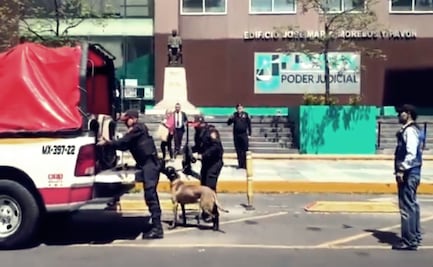 Evacúan juzgados de CDMX por amenaza de riesgo; Poder Judicial activa protocolos de seguridad