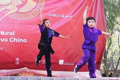 Arte, cine y conferencias en el Cenart para celebrar el inicio del Año del Conejo