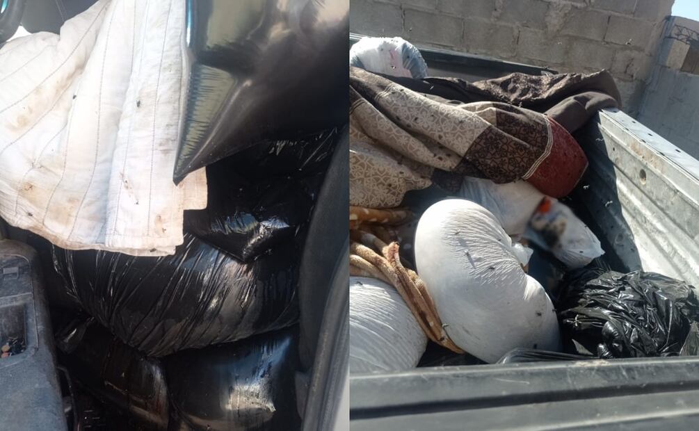 En la camioneta se encontraron 118 perros sin vida de diferentes tamaños, razas y mestizos. Foto: Especial