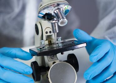 Acumulación de coronavirus en los pulmones, primera causa de muerte por Covid