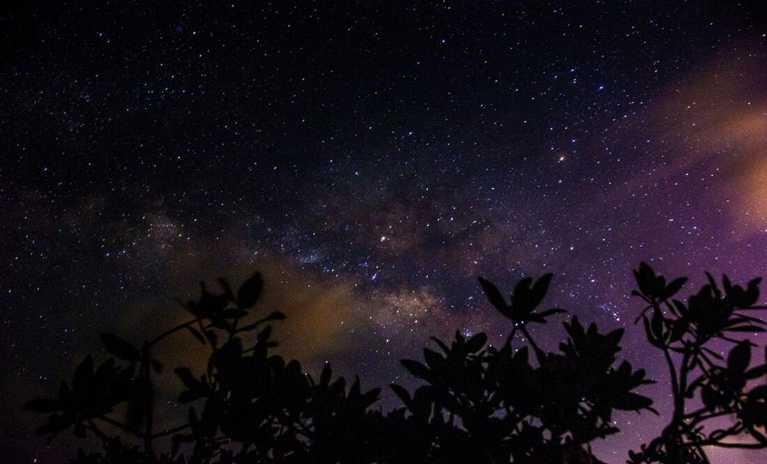 Photo: Elizabeth Ruiz/Cuartooscuro.com