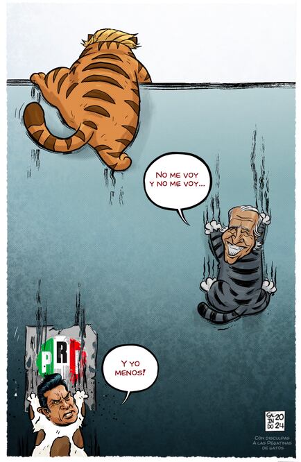 Cartón de GALINDO