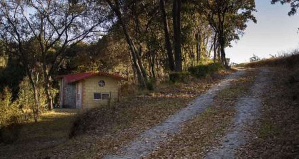 5 cabañas románticas para escapar en pareja, cerca de la CDMX