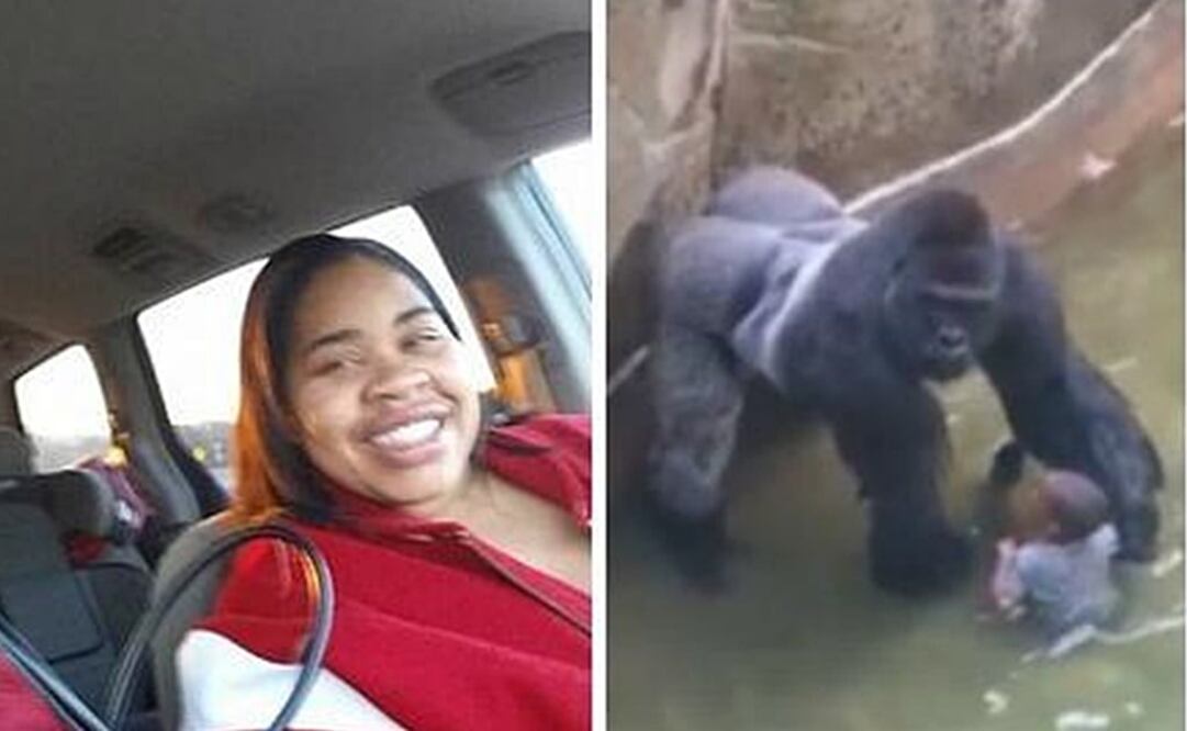 Descartan acusar a madre de niño que cayó a foso de gorila