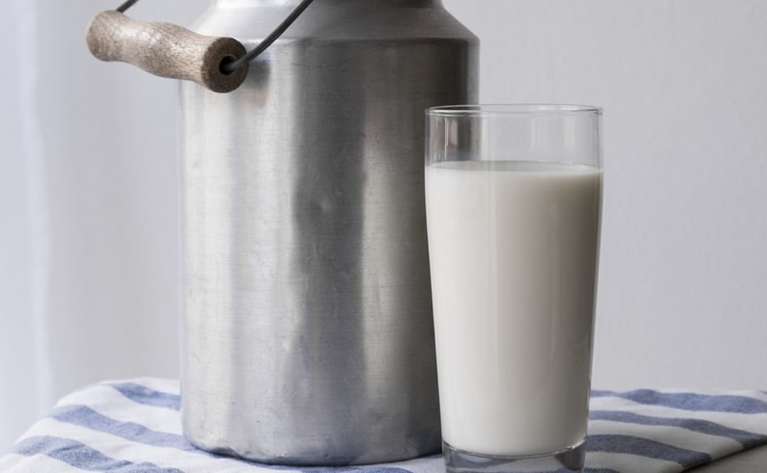 GCMA aseguró que el consumo de leche en México ascendió en el 2022 a 16 mil 800 millones de toneladas métricas. Foto: Pixabay