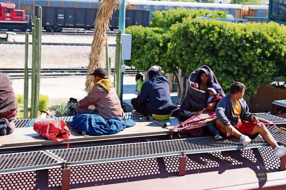 Cientos de migrantes pudieron ayer subir en Torreón, Coahuila, al tren que los llevará hasta Ciudad Juárez. Foto: Francisco Rodríguez | El Universal