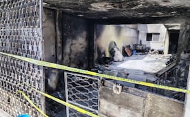 Perritos que murieron quemados en la GAM estaban en transportadoras; vecinos denuncian condiciones de encierro