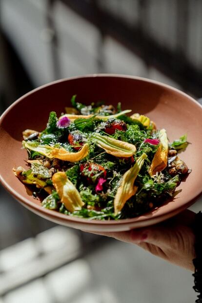 Dónde se come y se bebe rico en Oaxaca: un recorrido gastronómico