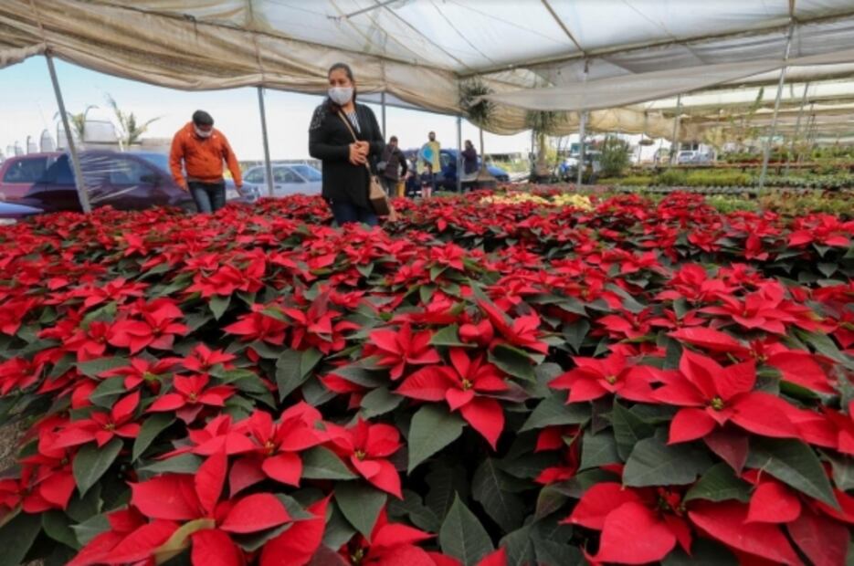 Inundaciones, baile callejero y compras navideñas, entre las fotos de la semana
